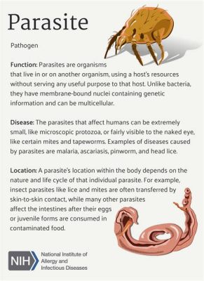  Dactylosoma! A Parasite That Embarks on Intriguing Journeys Inside its Host