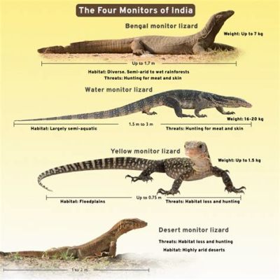 Monitor Lizard: Can This Ancient Reptile’s Scales Tell Us About the Past?